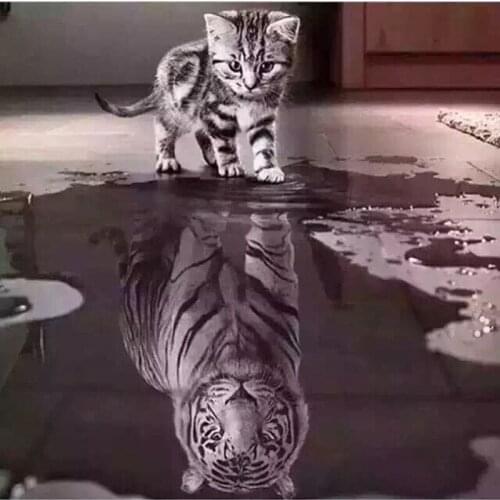 DIY 5D Diamond Painting Cat Flower Diamond Mosaic Animal Cross Stitch Handmade Rhinestones Pictures Full Display Gift Home Decor