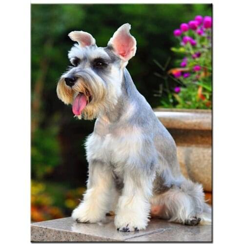 Schnauzer diamond painting full round square drill Diamond embroidery animal funny puppy Diamond painting diy 5d mosaic,YG2206