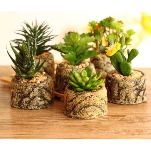 Simulation Cactus Succulent Flower Plant Bonsai Home Garden Landscape Decor Artificial Plants decorating indoor outdoors