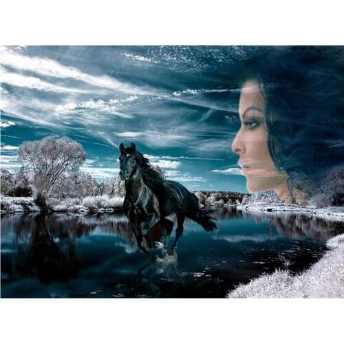 Girl 5D DIY Diamond Painting Full Square Round 3D Embroidery Dark Horse Diamond Mosaic Pictures of Rhinestones Wall Decor DF646