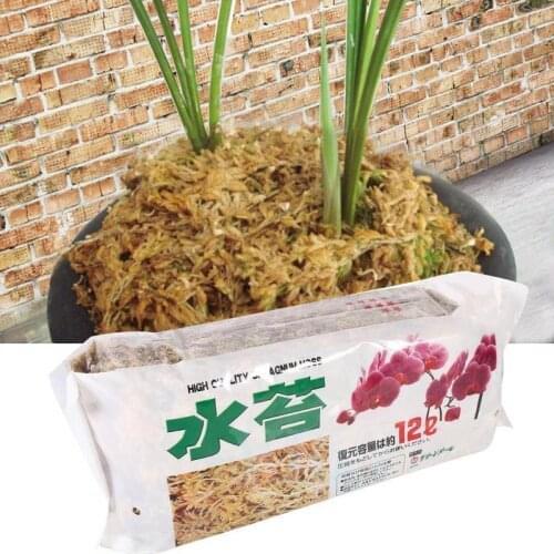 12L Nutrition Organic Fertilizer Sphagnum Moss For Orchid Musgo Sphagnum Phalaenopsis Flower Garden Supplies