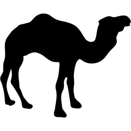 15.6CM*12.4CM Camel Bumper Pattern Decorate Accessories Car Sticker Vinyl Decal