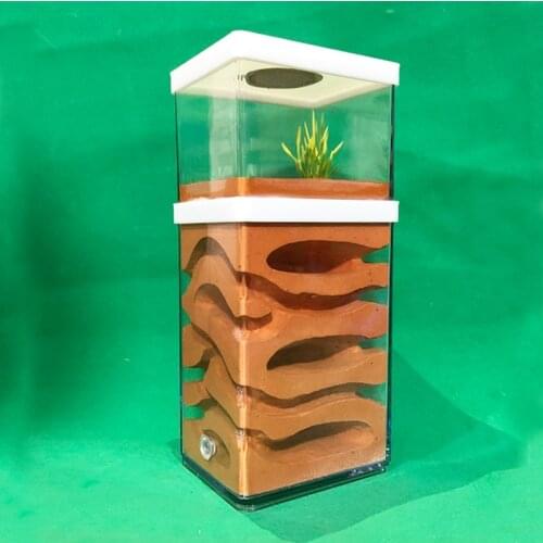 Plaster Ant Farm High Moisture Insect Hotel Castle Ecological Ant Nest Pet Anthill Workshop Ant House Village with Feeding Area