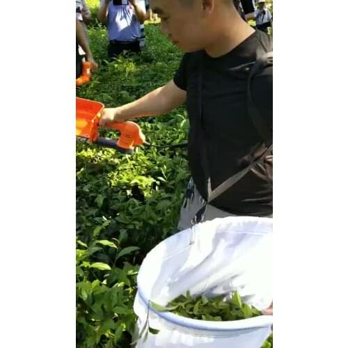 Portable battery operated electric tea plucker handheld tea leaf picking machine tea harvester without brush
