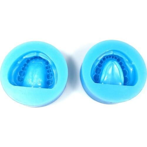 2pc Silicone Dental Plaster Model Mold Mould of Edentulous Jaw Complete Cavity Block with hole