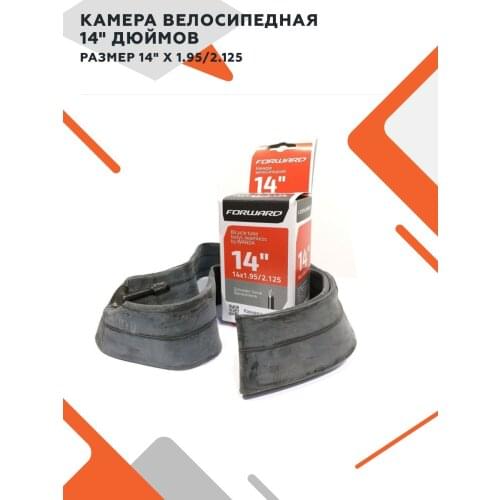 Forward Bicycle Cameras