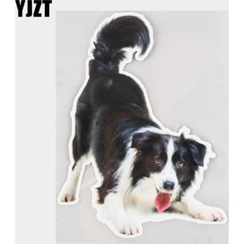 YJZT 12.7×17CM Border Collie Playing Dog Vinyl Decals Bumper Scratch Occlusion Car Sticker 21A-0018