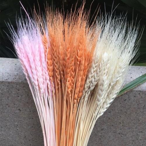 30pcs/lot,Natural Dried Wheat Bouquet,Eternal Display Flower Bunch for Wedding Party Home Decoration,Flower Art Arrangement