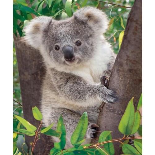 5d Full Square/Round Diamond Embroidery Cute Koala on The Tree Diamond Painting Cross Stitch Diy Diamond Painting Hobi Mosaic