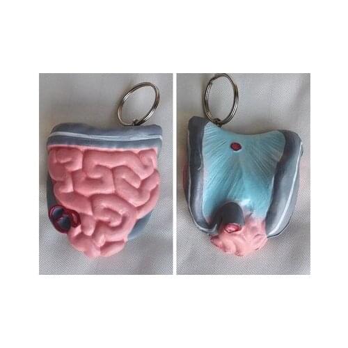 Human intestine Key chain Intestinal model gift accessories free shipping
