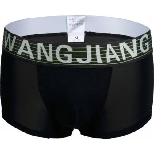 Mens underwear boxers calzoncillos boxer fashion men panties comfortable and thin ice silk seamless transparent cuecas