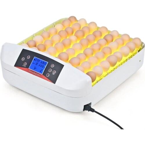 A All-In-One Intelligent Full-automatic Egg Incubator Hatcher 56 Eggs Hatching Machine for Chicken Duck Transparent Plastic
