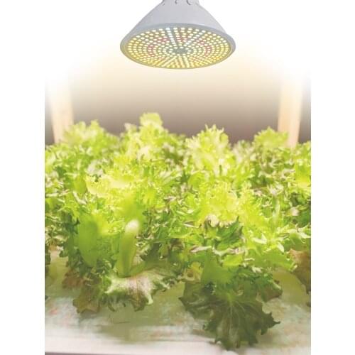 The New Fluorescent Lamp LED Growth Bulb 600W LED Plant Growth Light, Used For Greenhouse Hydroponic Plants Growing Lamp