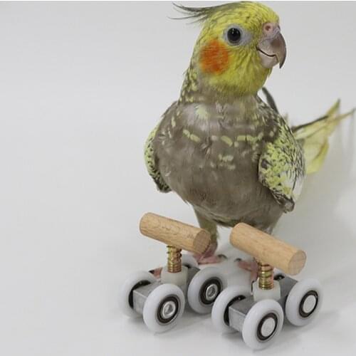 Small Parrots Roller Skates Adjustable Pet Birds Playground Toys for Small Bird Budgerigar Cockatiel Education Play Gym Activity