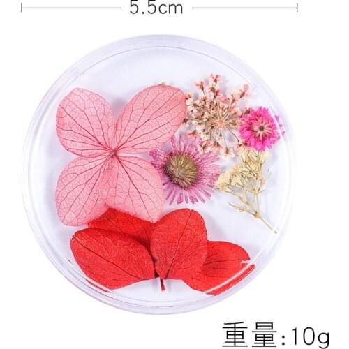1pc/set Hot Sale New 3D Nail Decal and Stickers Japanese Dried Flower Nature Beauty Nail Ornament Lace Flower Mixed Color T1624