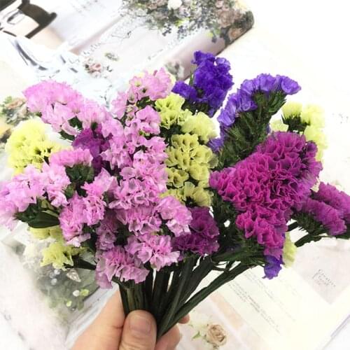 Mini Decorative Dried Flowers Not Forget Me Flower Bouquet Natural Plant Preserve Floral for Wedding Home Decoration Accessories