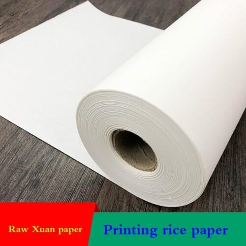 Inkjet Printing Raw Xuan Paper Rolling Rice Papers Calligraphy Flowers and Birds Painting Paper White Rijstpapier Carta Di Riso