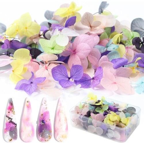 3D Charm Dried Flowers Nail Art Decoration Tips Manicure Natural Floral Sticker Nail Art Design Polish Jewelry Supplies