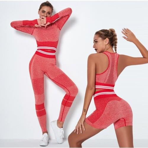 Ombre Seamless Yoga Set Women Workout Sportswear Gym Clothing Long Sleeve Crop Top Sport Bra Fitness Leggings Sports Suits