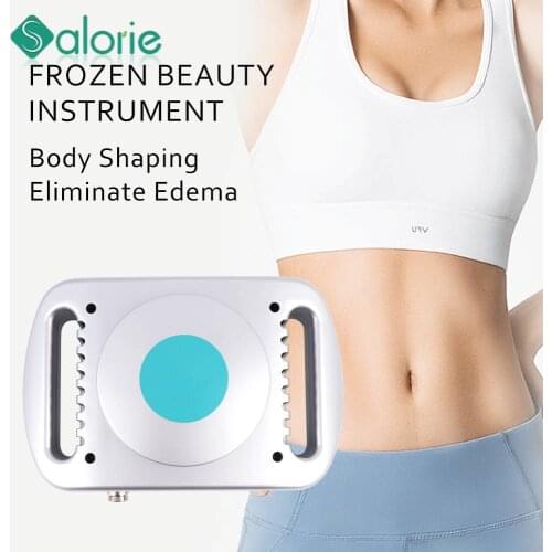 4 Types Body Shape Slimming Freezing Machine Fat Lose Weight Loss Cold Lipo Anti Cellulite Dissolve Fat Cold Therapy Massager