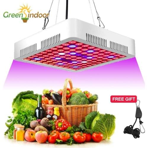 Timing LED Grow Plant Light Lamp Fitolampy 2000W 100 Led Full Spectrum Indoor Garden For Plants Flower Seed Fito Phyto Growing