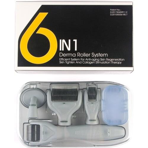 6 in 1 Microneedle Derma Roller Kit for Face and Body 300/720/1200 Titanium Dermaroller Micro Needle Facial Roller Skin Care