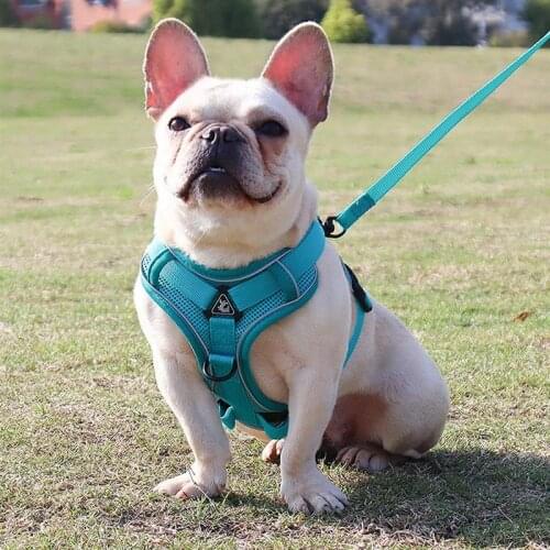 Dog Harness For Small Medium Dogs Breathable No Pull Reflective Dogs Harness Puppy Vest For Pug French Bulldog Walking Training
