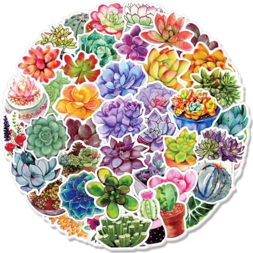 50PCS/Pack Cute Succulent Plants Graffiti Stickers For Laptop Notebook Motorcycle Skateboard Computer Luggage Decal Sticker