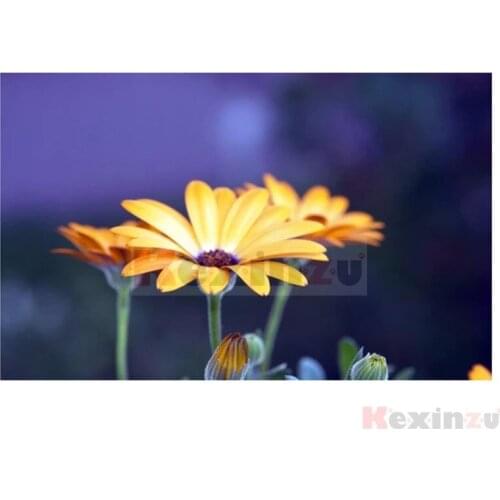 Kexinzu 5D DIY Full Square/Round Diamond Painting"Flower"3D Embroidery Cross Stitch handcraft work Home Decor Gift X310