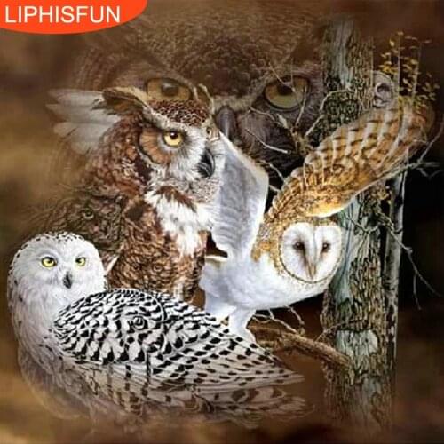 5D Diy Diamond Painting Cross Stitch Owl Square Drill Full Diamond Embroidery Unfinished Crafts Home Decoration