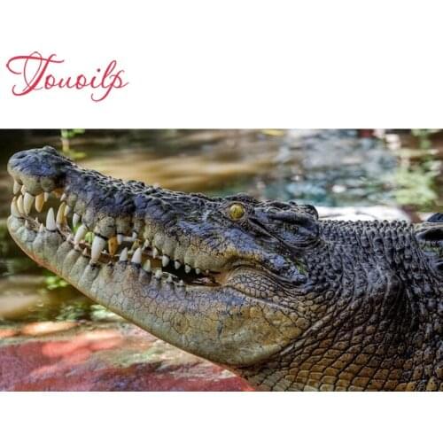 TOUOILP DIY Full Square/round 5D crocodile Diamond Painting 5D DIY Diamond Embroidery Cross Stitch Rhinestone Mosaic Home Decor
