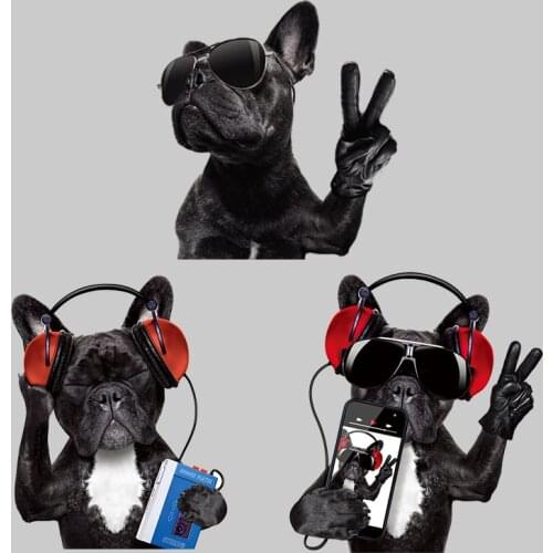 Music Dog Iron on Transfers Patches for Clothing Textile Vinyl Thermo Stickers Applique Diy Thermotransfer Stripe on Clothes Set