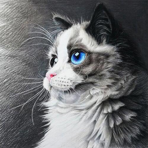 Ragdoll Cat Diamond Painting Round Full Drill Nouveaute DIY Mosaic Embroidery 5D Cross Stitch Animal Black and White Pattern