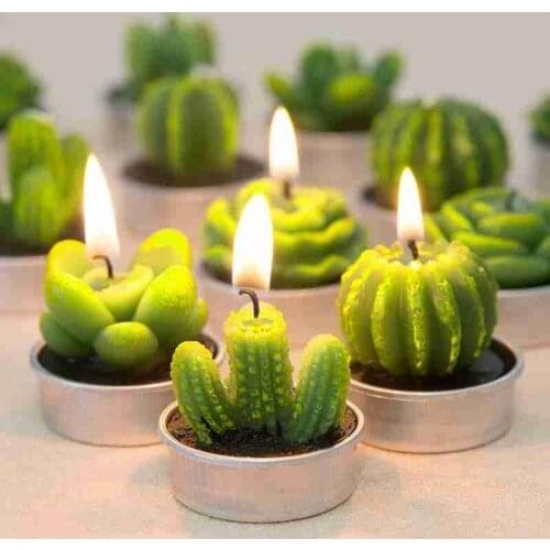 6Pcs 3D Cactus Candle Cube Candle Simulated Plant Set Paraffin Scented Candle Home Candle Tea Light Background Props Decor