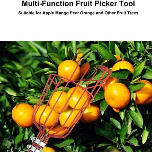 Lightweight Highgrade Stainless Steel Adjustable Picker Suit for Apple Pear Cherry Mango Guava Orange Avocados Etc Fruit Picking