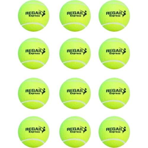 12PCS/Set Tennis Balls Sport Play Practice Cricket Dog Toy Ball Pet Playing Ball Rubber