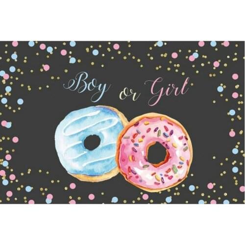 Sweet Donuts Boy Or She Birthday Backdrop Party Room Decor Photo Booth Studio Prop
