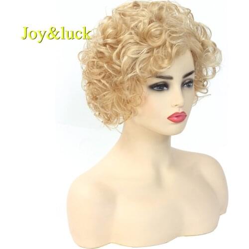 Joy&luck Short Kinky Curly Hair Wig Brown Mix Blonde Color Synthetic Wigs for Women