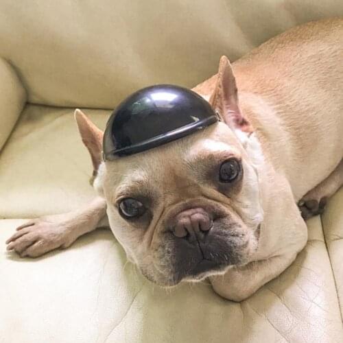 New Style Fashion Creative Pet Dog Cat Motorcycle Safety Helmet Protective Hat Ridding Cap Headwear Dogs Decor Supplies