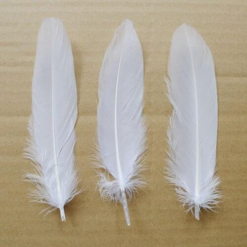 Wholesale 1000Pcs White Natural Plumes Goose Feather For DIY Crafts Hat Christmas Cosplay Decoration Clothing Shoes Accessories