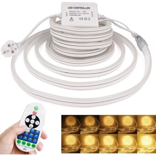 Led Strip 220V 110V Dimmable Neon Light 2835 120Leds/m Waterproof Led Lights Flexible Neon Sign with Remote Control