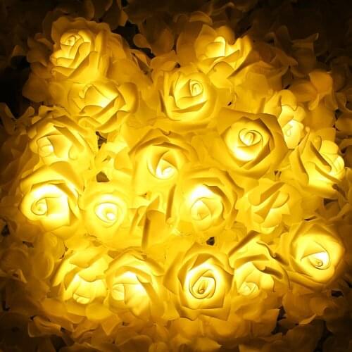 LED Holiday Light Bulbs HOPEHONG China