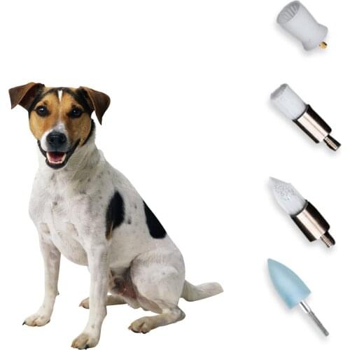 Multifunctional Dog Teeth Polishing Tooth Cleaner Set Pet Dog Scaler Dental Care Tool Kit With 4 Brush Heads
