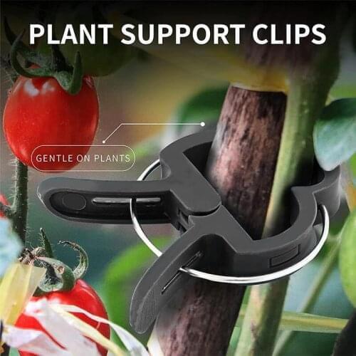 Garden Climbing Vines Fixing Clip Plant climbing wall Self-Adhesive Fastener Tied fixture Vine Buckle Hook Garden plant wall cli