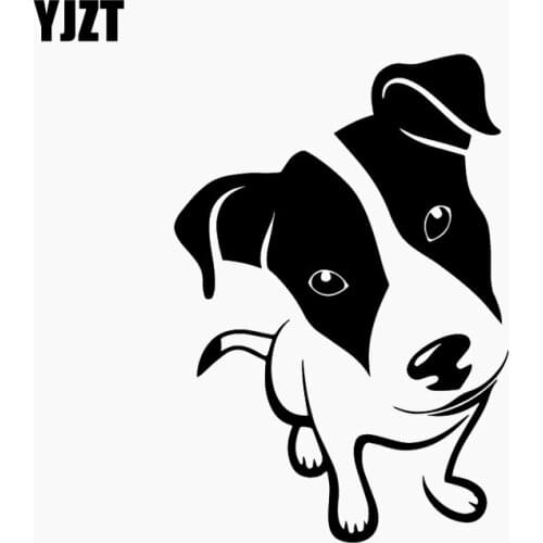 YJZT 10.6X15.5CM Car Sticker Vinyl Decal Dog Animal Pets Puppy Cool Amazing Decor Black/Silver C24-1102