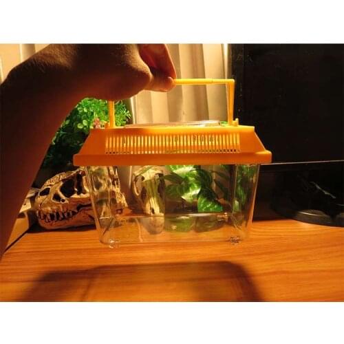 Portable Reptile Feeding Spider Box Scorpion Larvae Catch Bird Insect Transport Grasping/movement Ability Developing Unisex 2021