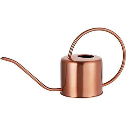 Long Spout Watering Can Nordic Style Brushed Plant Watering Pot for Indoor and Outdoor Garden House Flower
