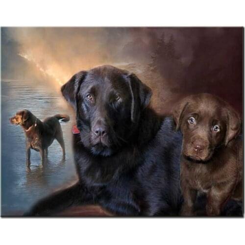 Full Round 5d Diy Diamond Painting Labrador Retriever Dog picture of Rhinestones Mosaic Diamond Embroidery Sale Decoration TY405