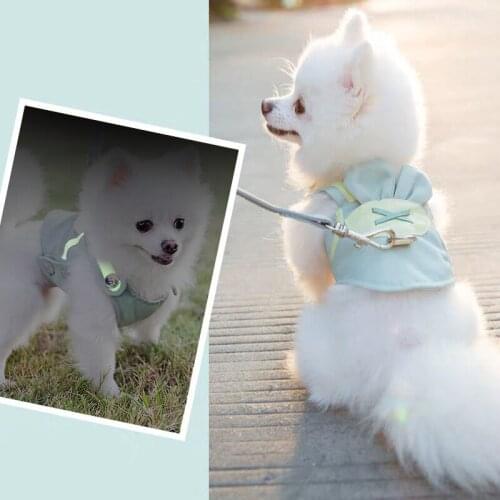 Pet Dog Harness and Leash Small Dog Nylon Safety Mesh Chest Strap Adjustable Dog Harness Leash Set Cute Puppy Vest Dog Supplies