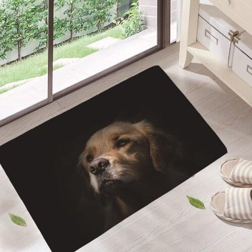 Cat and dog pattern floor mat bathroom absorbent non-slip floor mat cute cartoon creative animal carpet home non-slip mat